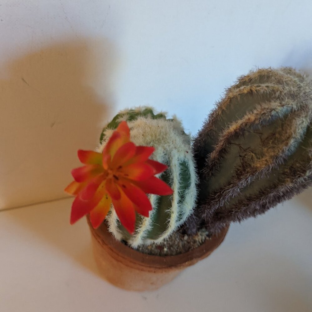 NEW Ashland Faux Triple Cactus Clay Pot Floral Succulent Michael's Desert Summer - Picture 7 of 8